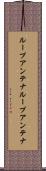 ループアンテナ Scroll