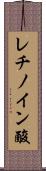 レチノイン酸 Scroll
