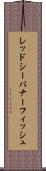 レッドシー・バナーフィッシュ Scroll