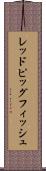 レッドピッグフィッシュ Scroll