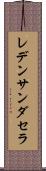 レデンサンダセラ Scroll