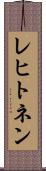 レヒトネン Scroll