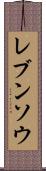 レブンソウ Scroll