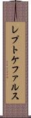レプトケファルス Scroll