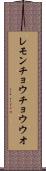 レモンチョウチョウウオ Scroll