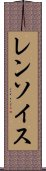 レンソイス Scroll