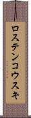 ロステンコウスキ Scroll
