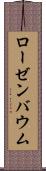 ローゼンバウム Scroll