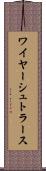 ワイヤーシュトラース Scroll