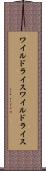 ワイルドライス Scroll