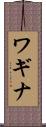 ワギナ Scroll