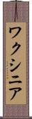 ワクシニア Scroll