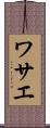 ワサエ Scroll