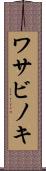 ワサビノキ Scroll