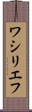 ワシリエフ Scroll