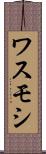ワスモシ Scroll