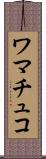 ワマチュコ Scroll