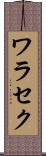 ワラセク Scroll