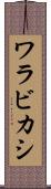 ワラビカシ Scroll