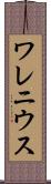 ワレニウス Scroll