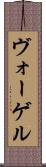ヴォーゲル Scroll