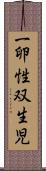 一卵性双生児 Scroll