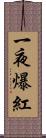一夜爆紅 Scroll
