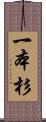 一本杉 Scroll