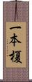 一本榎 Scroll