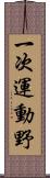 一次運動野 Scroll