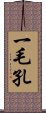 一毛孔 Scroll