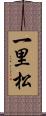 一里松 Scroll