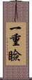 一重瞼 Scroll