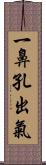 一鼻孔出氣 Scroll