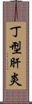 丁型肝炎 Scroll