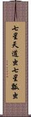 七星天道虫 Scroll