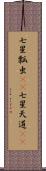 七星瓢虫(rK) Scroll