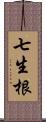 七生根 Scroll