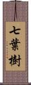 七葉樹 Scroll