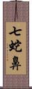 七蛇鼻 Scroll