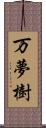 万夢樹 Scroll