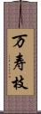 万寿枝 Scroll