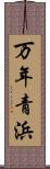 万年青浜 Scroll