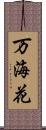 万海花 Scroll