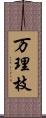 万理枝 Scroll