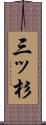 三ッ杉 Scroll