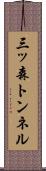 三ッ森トンネル Scroll