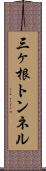 三ヶ根トンネル Scroll