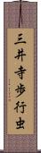 三井寺歩行虫 Scroll