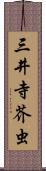 三井寺芥虫 Scroll